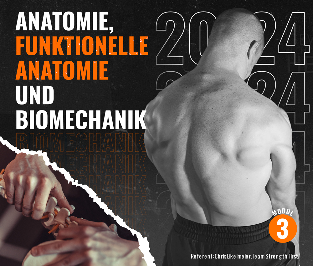 Workshop Biomechanik und funktionelle Anatomie Kraft- und Gesundheitstrainer